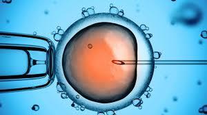 IVF and Life Science.jpg